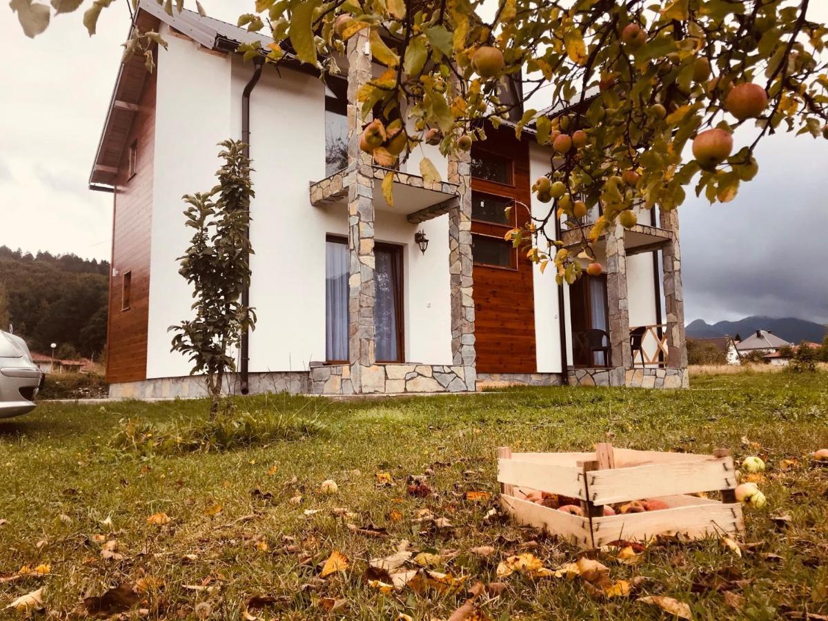 Vila Montenegrina コラシン エクステリア 写真
